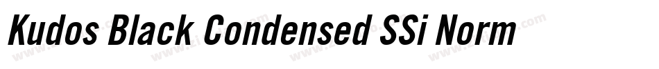 Kudos Black Condensed SSi Normal字体转换